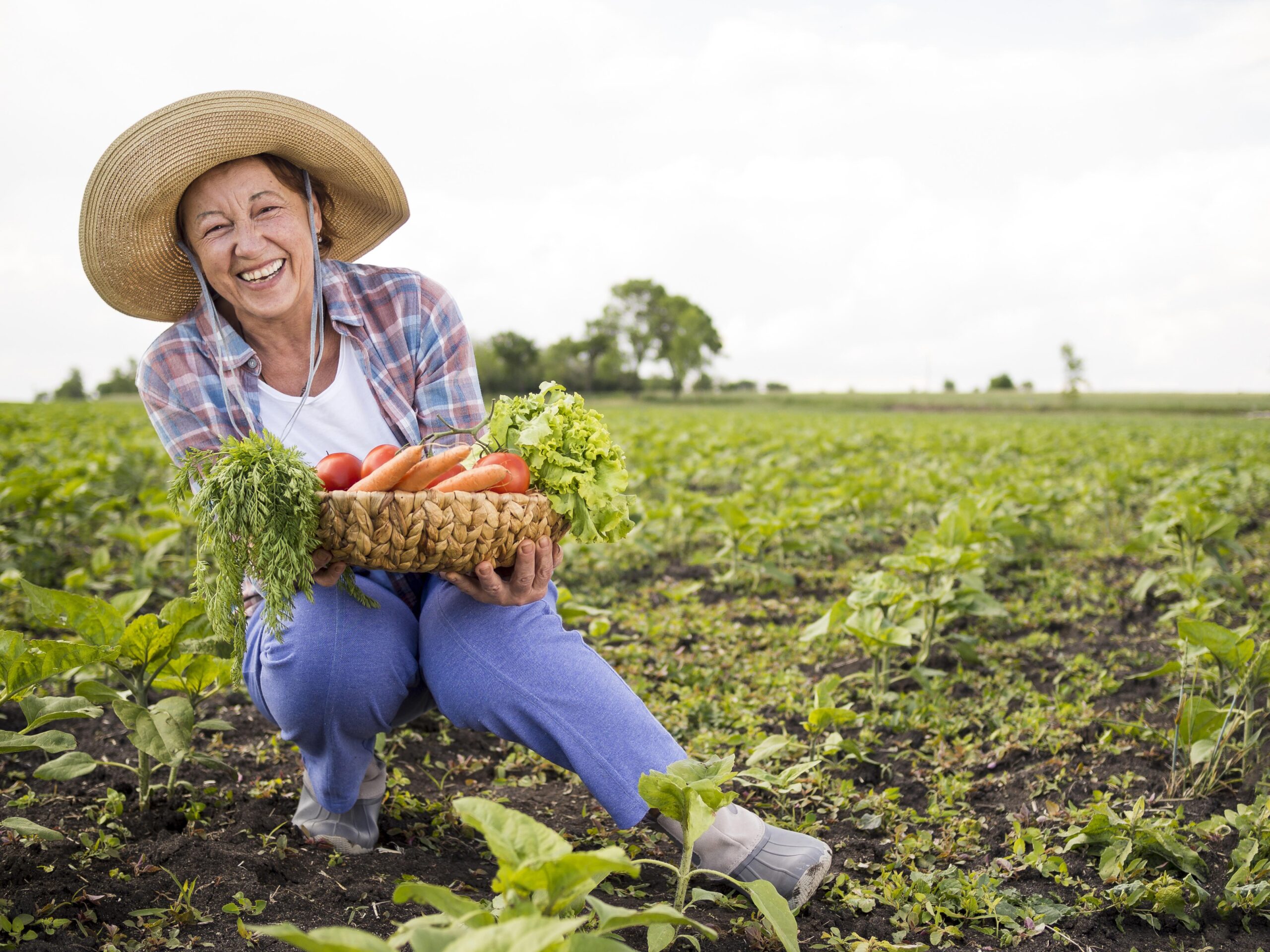 Produtora rural sorridente colhendo hortaliças frescas